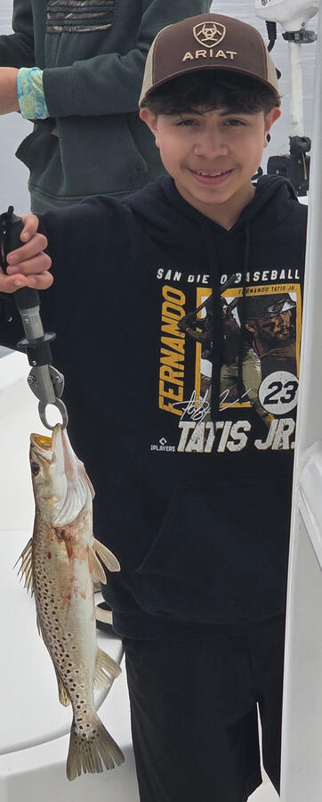 Spotted Sea Trout