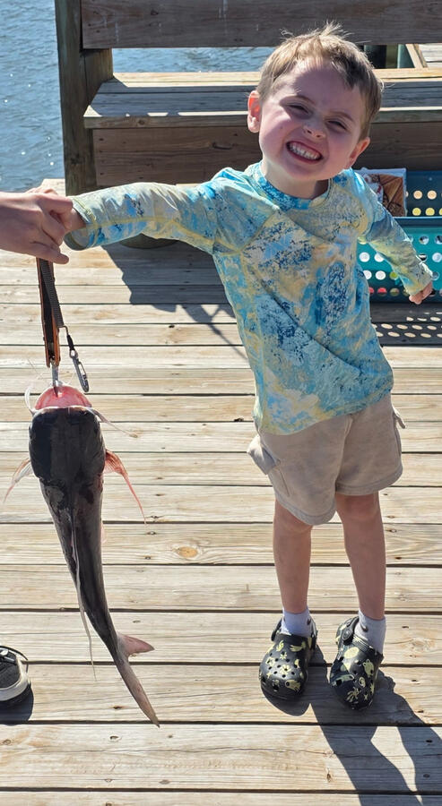 Gafftopsail Catfish
