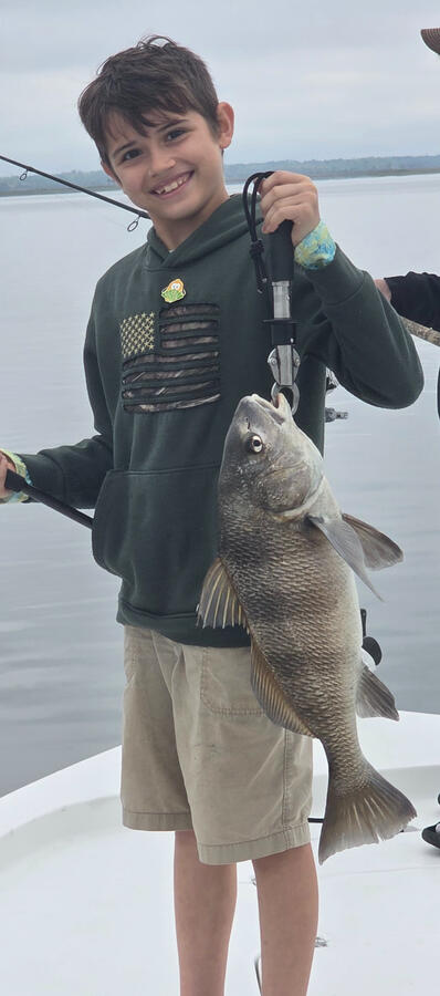 Black Drum