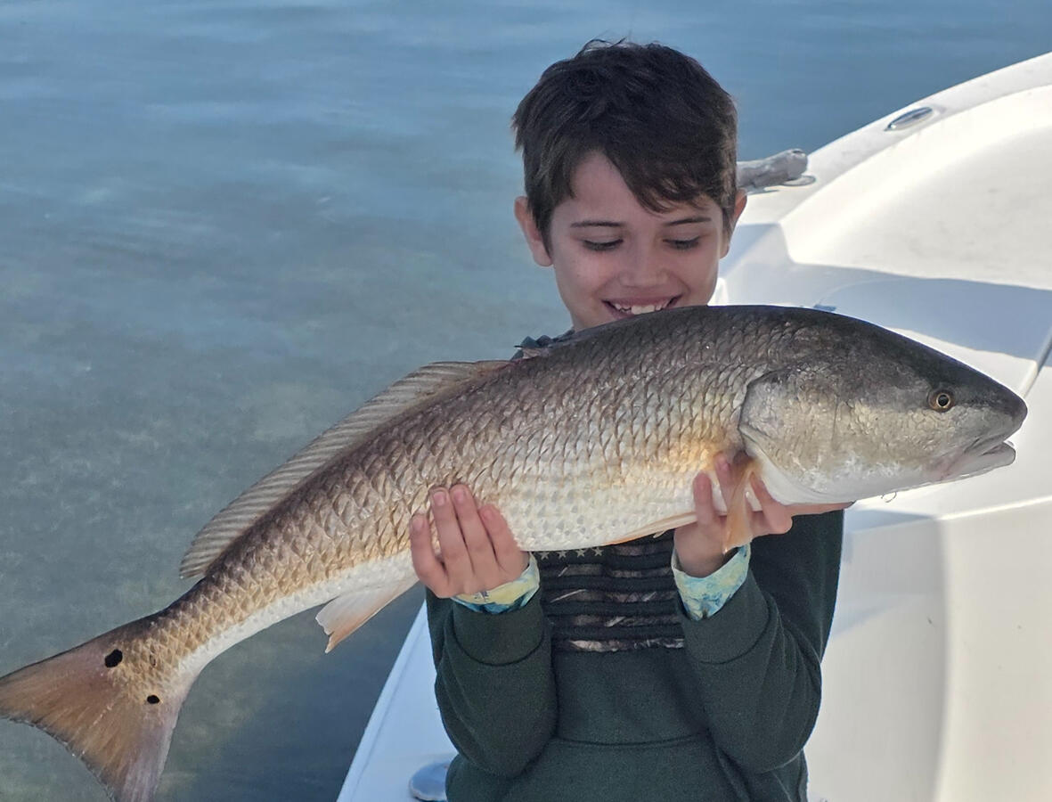 Bull Redfish